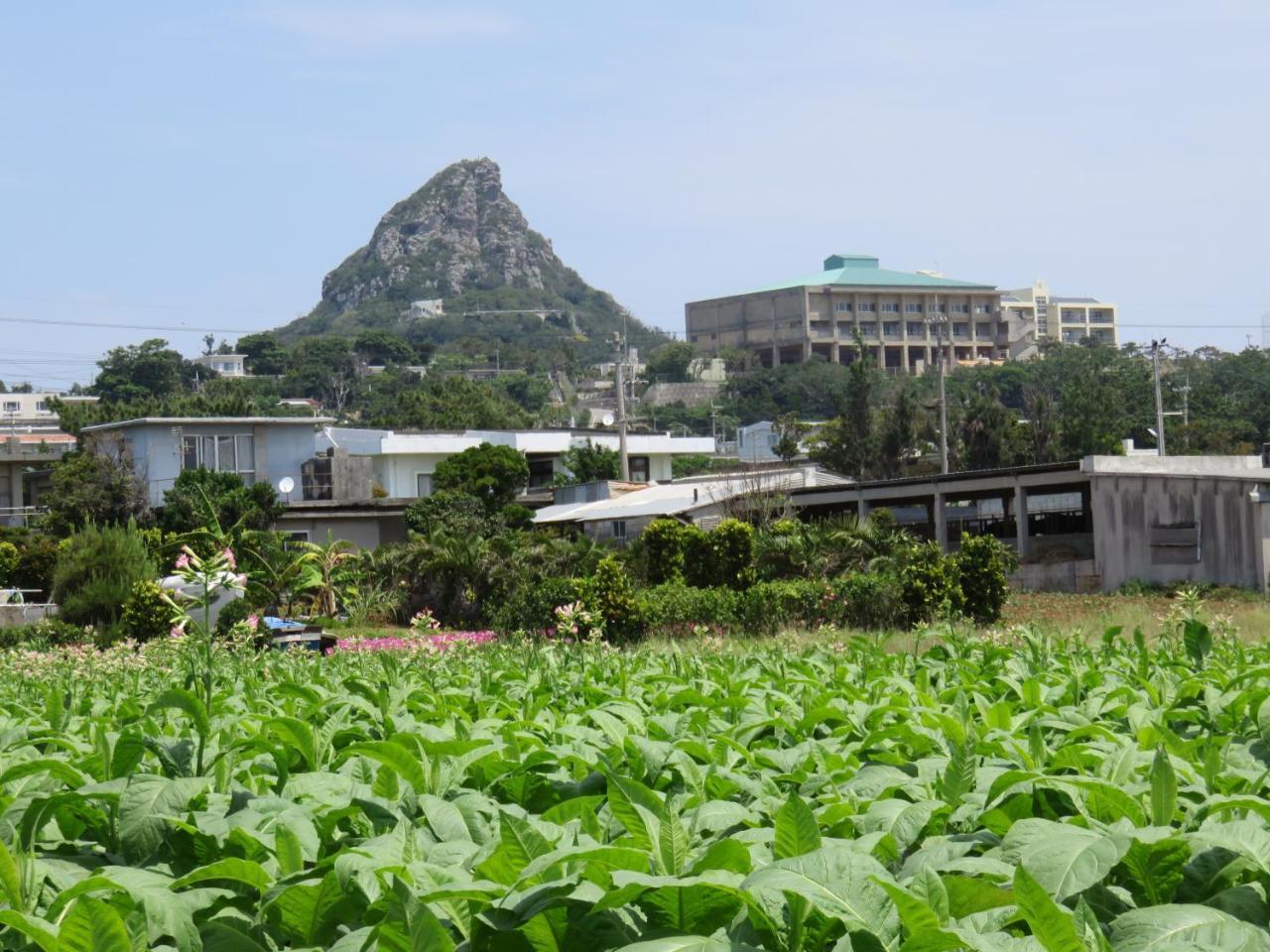 Villa Okinawa Freedom Nakijin Exterior foto